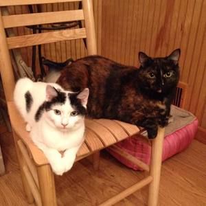 Meet your Posher, Kim